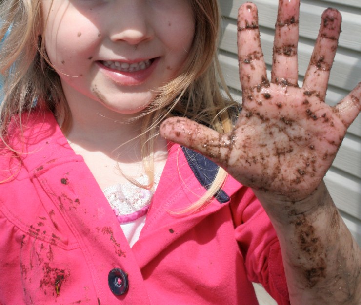 Not Such A Tough Mudder