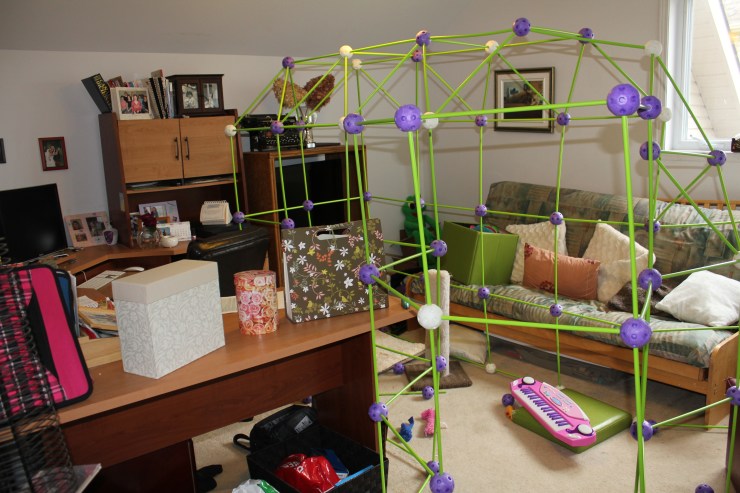 When I said there were obstacles to sitting down to the computer to write, this wasn't  what I meant. But add it to the list!