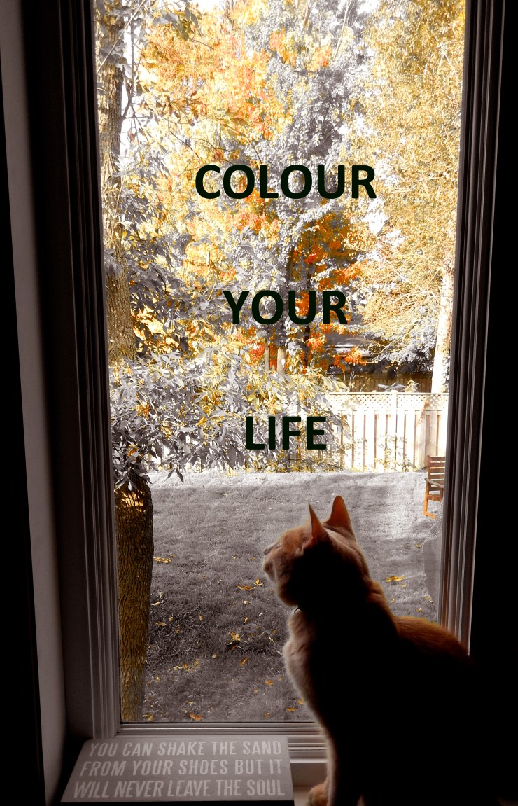 Colour Your Life!