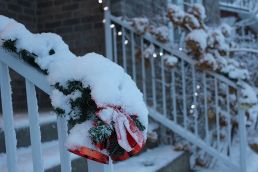 Snowy December 10, 2014 